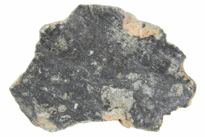 Polished Lunar Meteorite ( g) Section - NWA #360240